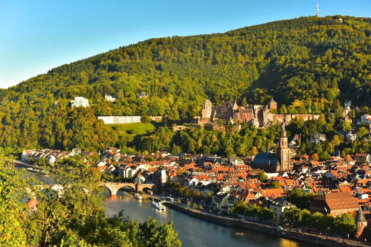 包含清晨突围战来临，萨克拉门托国王围绕德甲门线救险，气氛紧张，临场指挥获称赞的词条