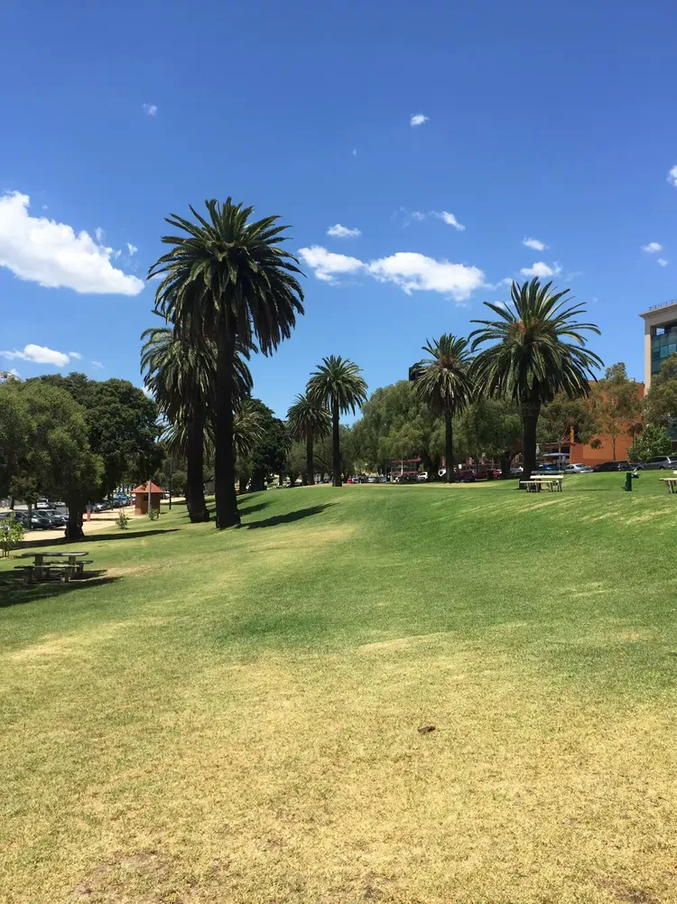 JIUYOU- 澳大利亚选手 